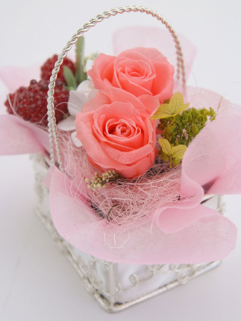 �v���U�[�u�h�t�����[