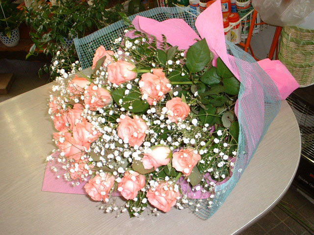 �ԑ�(�o��P�E�J�X�~�\�E)