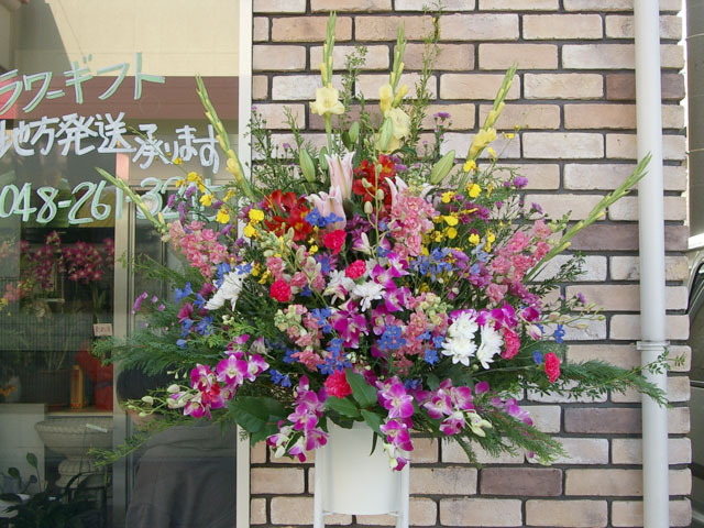 �X�^���h��(��i)