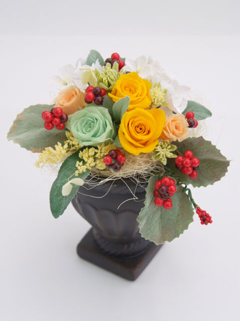 �v���U�[�u�h�t�����[