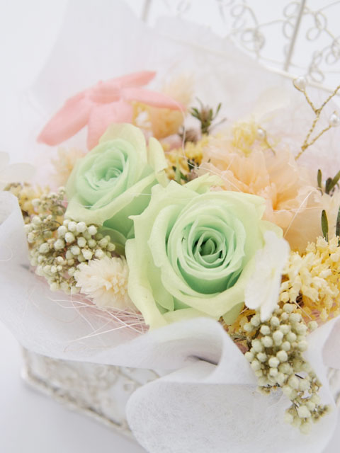 �v���U�[�u�h�t�����[