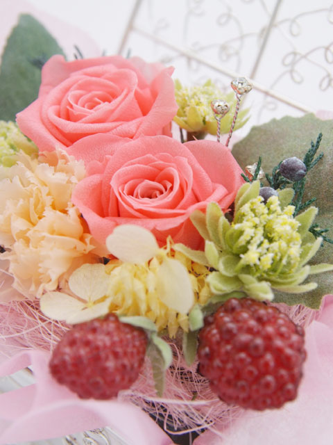 �v���U�[�u�h�t�����[