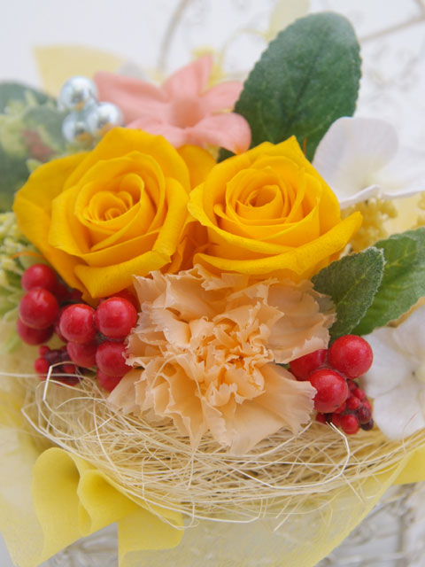 �v���U�[�u�h�t�����[