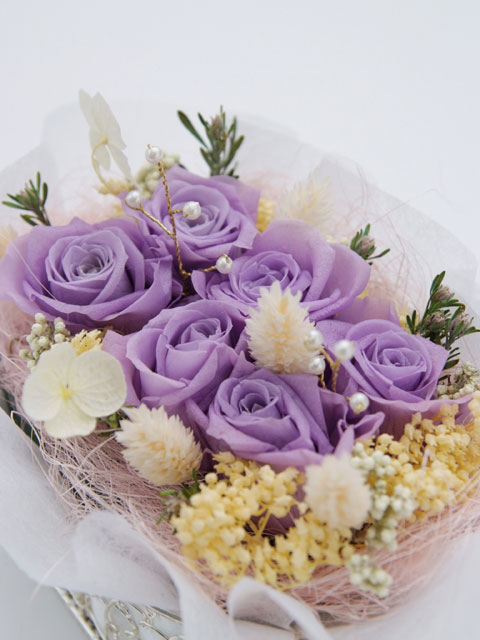 �v���U�[�u�h�t�����[