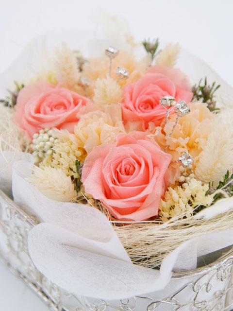 �v���U�[�u�h�t�����[