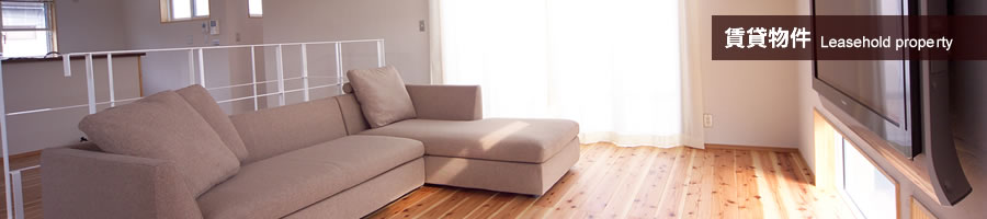 ���ݕ���