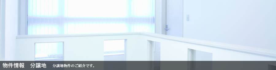 ʪ�����ʬ����