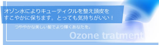 �I�]�����ɂ��L���[�e�B�N���𐮂���������N�ɂ��܂��B�Ƃ��Ă��C�����������I��₩�Ȕ��������ł��P�����Ȃ����B