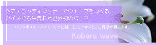 �o�C�I���琶�܂ꂽ���E���̃p�[�}�u�R�x���v