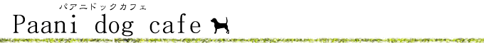 �p�A�j�h�b�N�J�t�F Paani dog cafe
