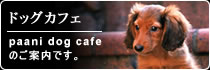 paani dog cafe�@�̂��ē��ł��B
