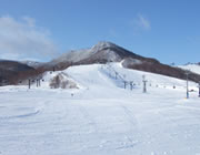 ��������X�L�[��