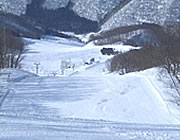 �����X�L�[��