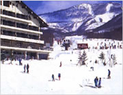 �������X�L�[��