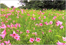 ���������R����