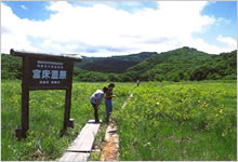 �{������