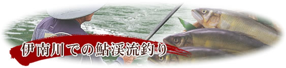 �ɓ��ł̈��k���ނ�