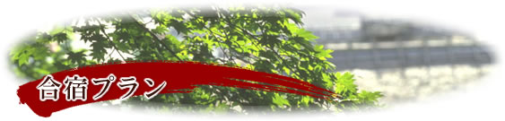 ���h�v����