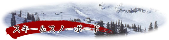 �X�L�[���X�m�[�{�[�h