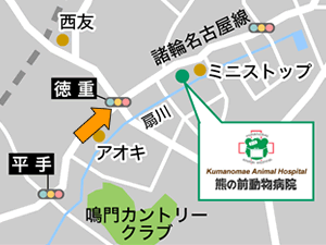 ���d�����_���i