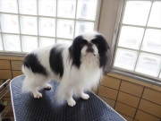 �с@��񂽂낤�@�����