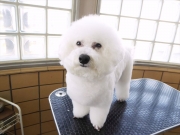 �e�n�@�܂�@�����