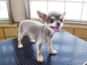 �����@�䈤���@�����