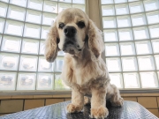 ��؁@�}�b�N�X�@�����