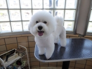 �e�n�@�܂�@�����