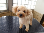 �����@���I�i���h�@�����