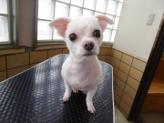 ����@�����@�����