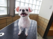 ����@�~���N�@�����