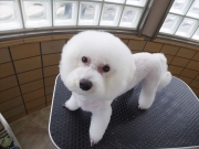 �e�n�@�܂�@�����