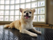 ���@�����