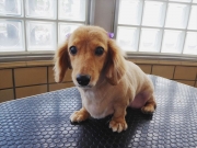 �������@�����