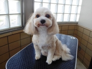 �낱�@�����