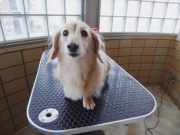 ���u�@�����