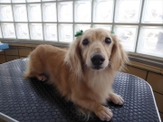 �����낤�@�����