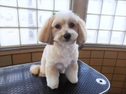 �R�����@�����