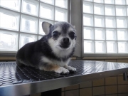 �����@�����