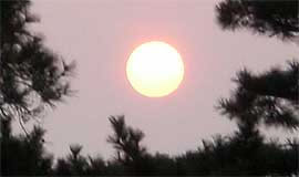 �y���V�����E�}�����V�b�v��茩�钩��