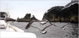 ����k�V���D���