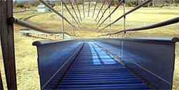 �������^���������́h�Ȃ��[�������h