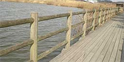 �o�[�h�E�H�`���O�ɊF����K��܂�