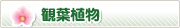 �ϗt�A��