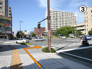 �x�@���O�����_�����f��A�E��