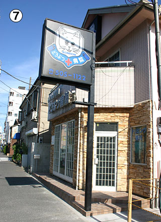 �H�����E���Ɍ����Ă��܂��B