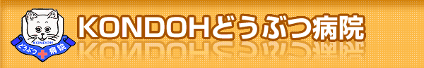 KONDOHどうぶつ病院