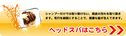 ヘッドスパはこちら・・シャンプーだけでは取り除けない、頭皮の汚れを取り除きます。毛穴を綺麗にすることで、健康な髪が生えてきます。