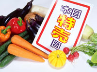 一般札用　チラシ・広告作成